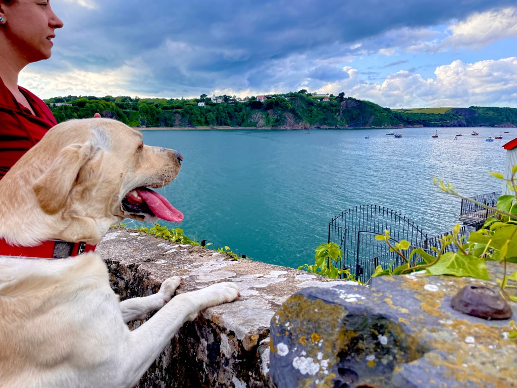 Tenby — the not-so-hidden gem!&nbsp;🌊🐾